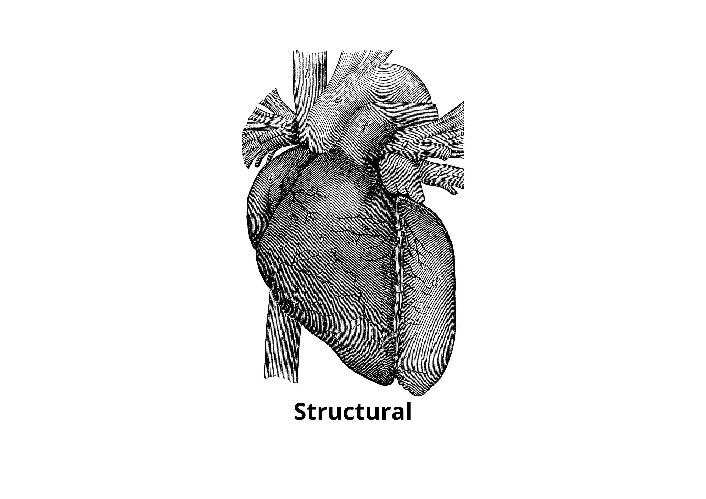 Structural